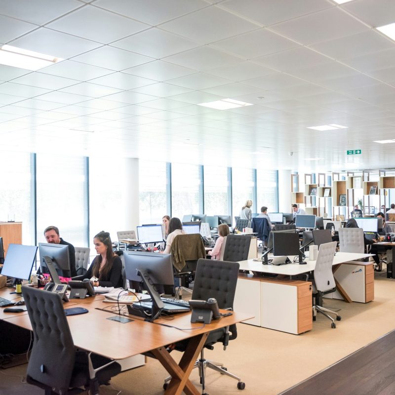 Understanding and Managing Shadow AI in the Workplace